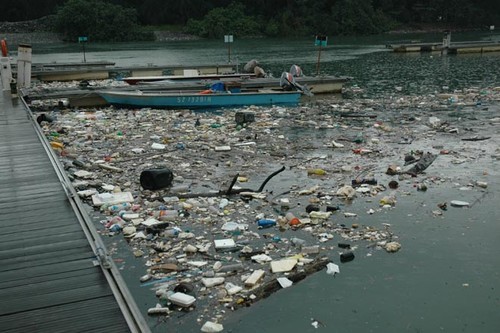 Debris in Singapore marina - photo by Paul Rice © SW
